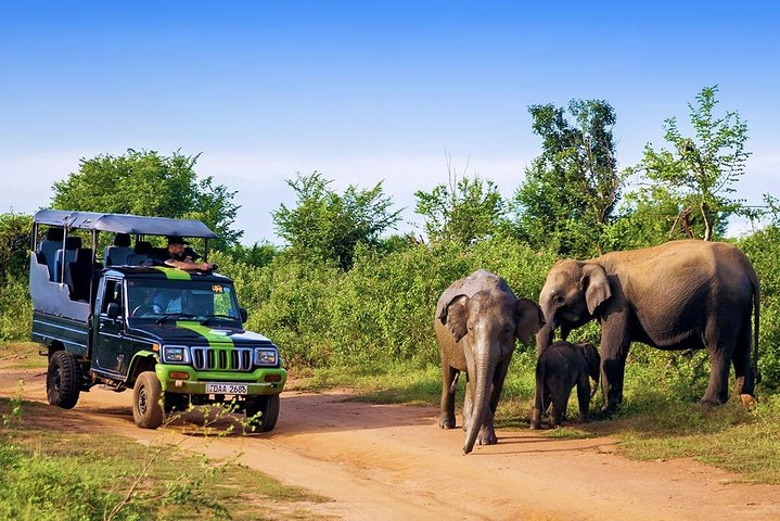 Ridiyagama Jeep Safari – photo 5