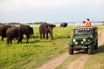 Gal Oya National Park Jeep Safari – photo 2