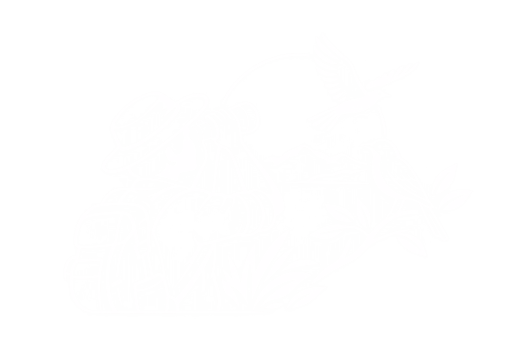 Bird Safari