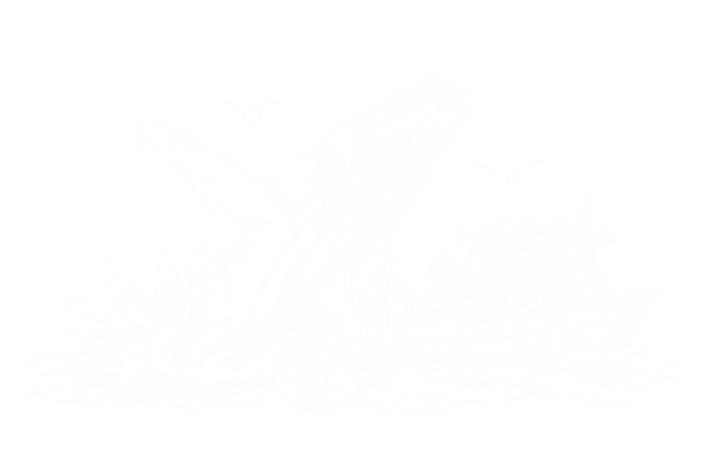 Safari