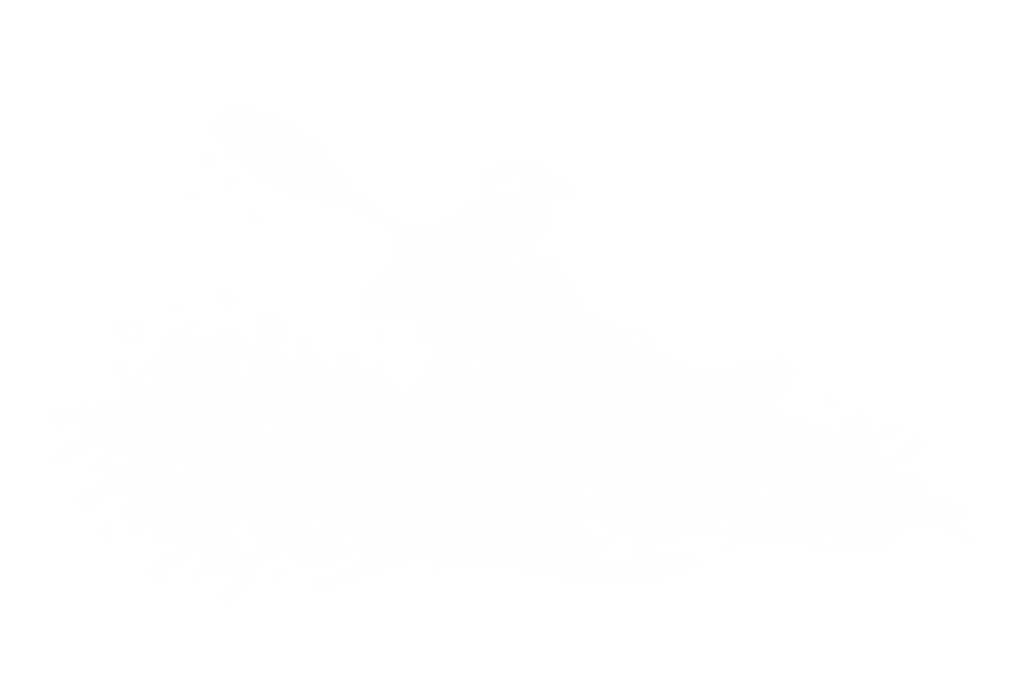 Kayak Safari