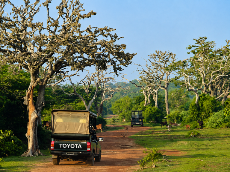 Bundala National Park Jeep Safari