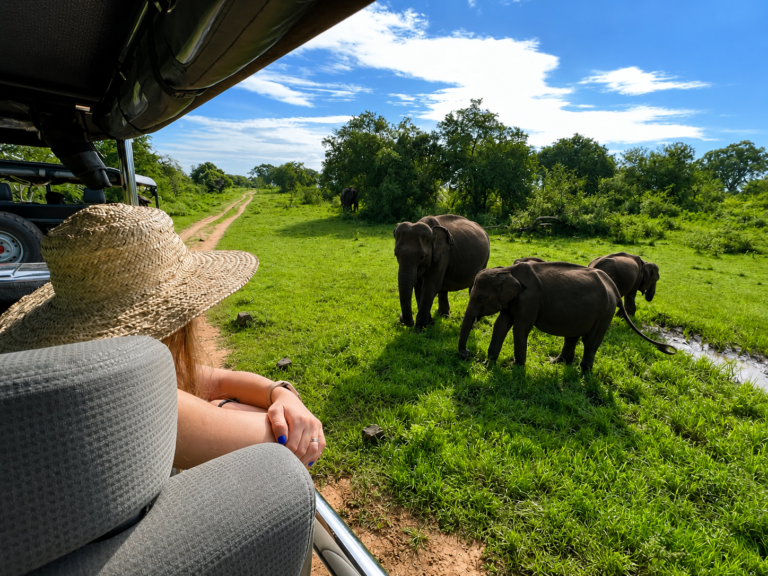 Kaudulla National Park Jeep Safari