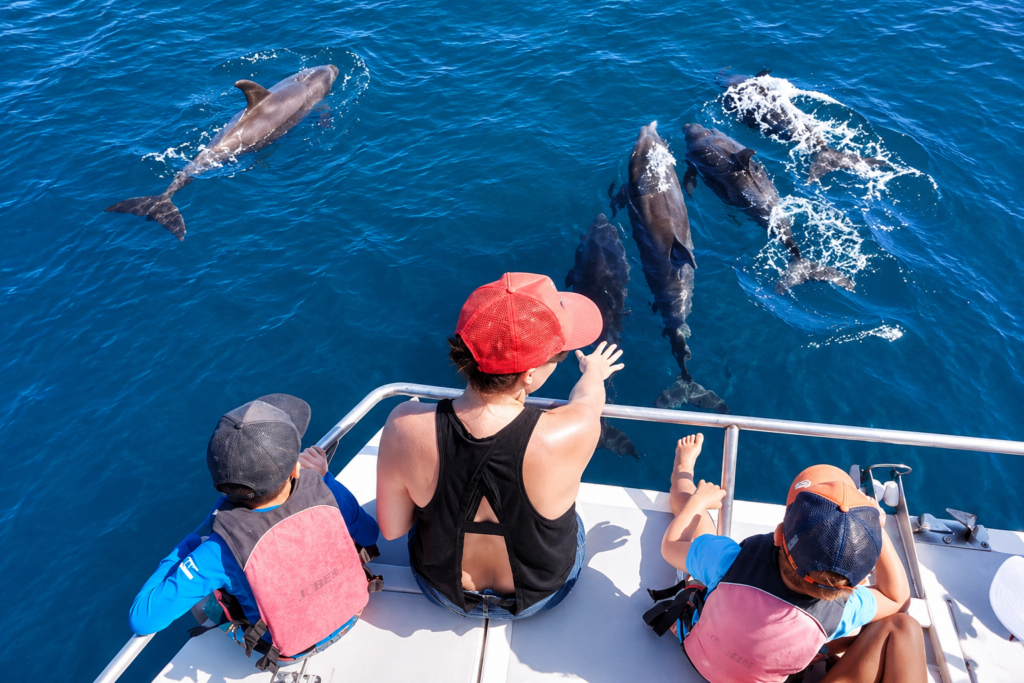Kalpitiya Dolphin & Whale Tours – photo 1
