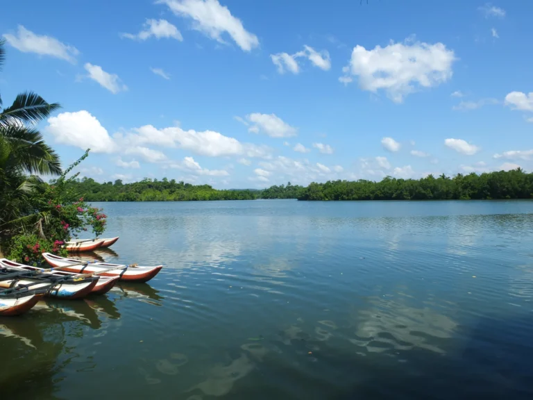 Koggala Lake Boat Tours
