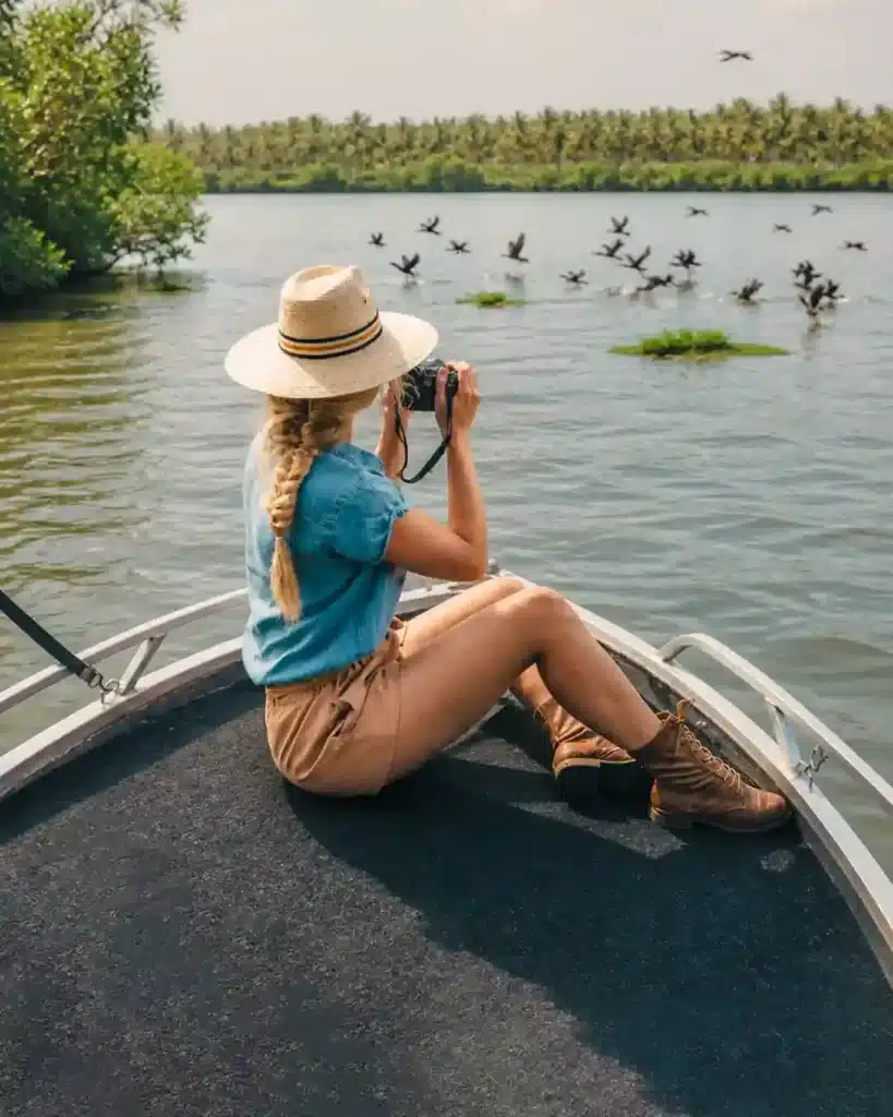 Bird-watching