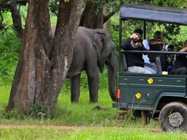 Ridiyagama Jeep Safari