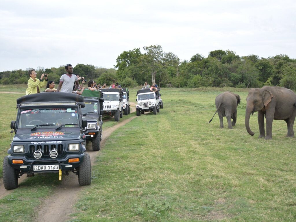 Kaudulla National Park Jeep Safari – photo 2