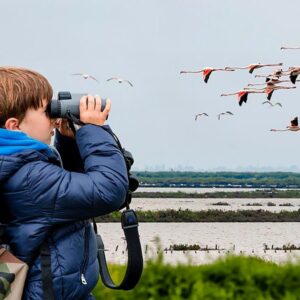 Bird Watching