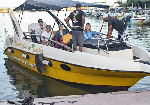 Mirissa Dolphin & Whale Tours – photo 5