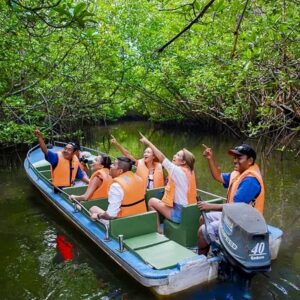 Boat Tour