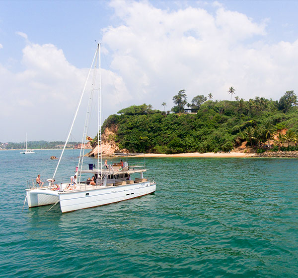 Mirissa Dolphin & Whale Tours – photo 4