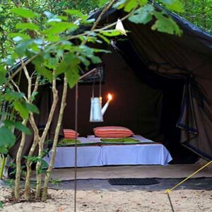 Camping
