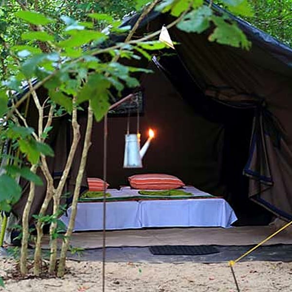 Camping