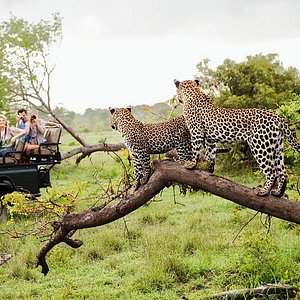 Gal Oya National Park Jeep Safari – photo 5
