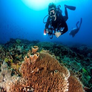 Diving Tour