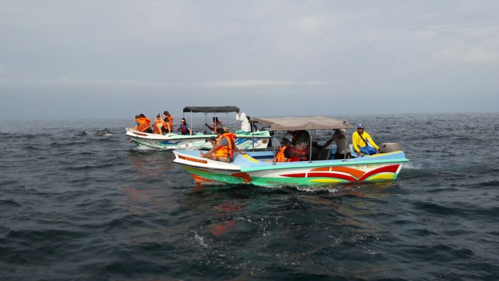 Kalpitiya Dolphin & Whale Tours – photo 3