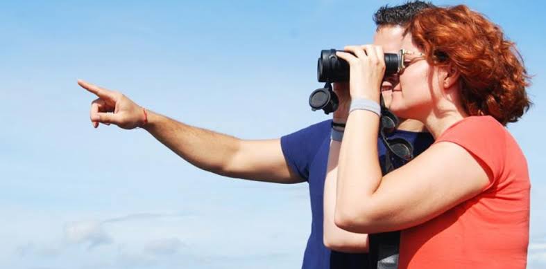 Kumana Bird Watching Tour – photo 2