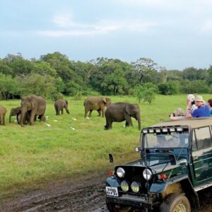 Jeep Safari
