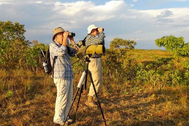 Kumana Bird Watching Tour