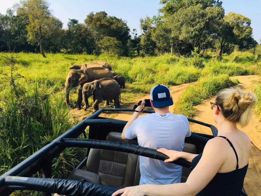 Kaudulla National Park Jeep Safari – photo 4