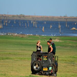 Minneriya National Park Morning Safari
