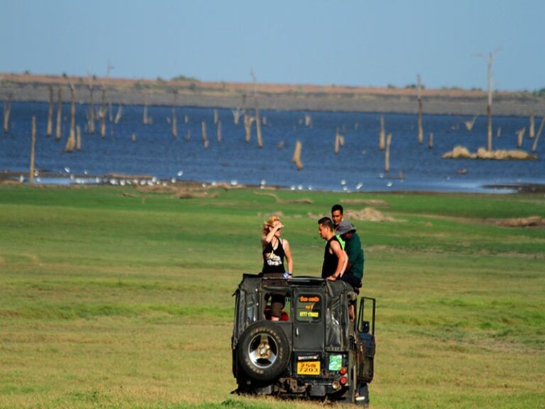 Minneriya National Park Jeep Safari