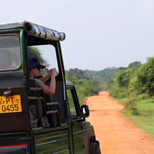 Yala Safari