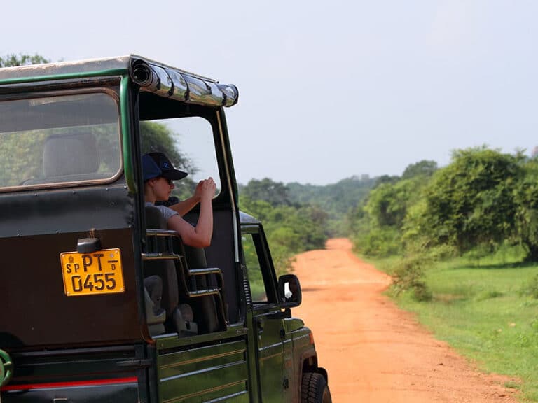 Yala Safari