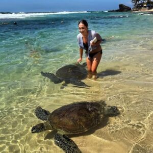 Sea Turtle Watching