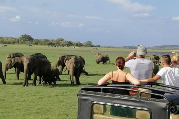 Kaudulla National Park Jeep Safari – photo 3