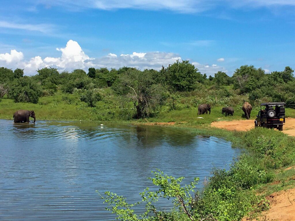 Udawalawe National Park Jeep Safari – photo 3