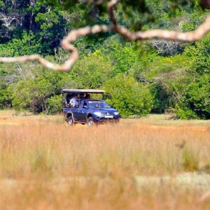 Wilpattu National Park Afternoon Safari