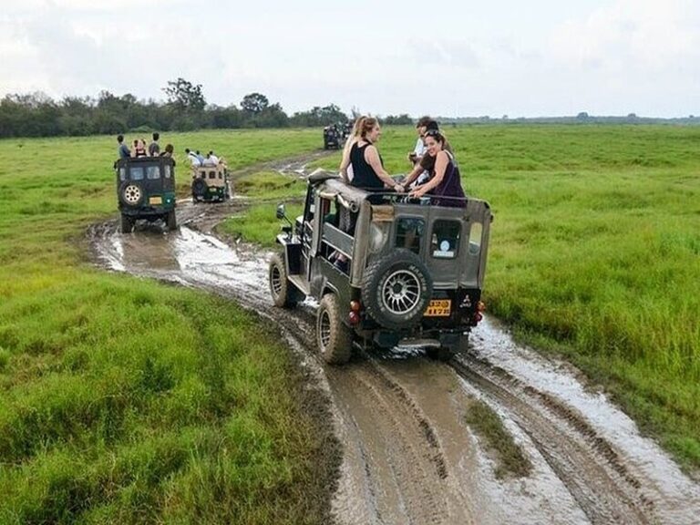 Wilpattu National Park Jeep Safari