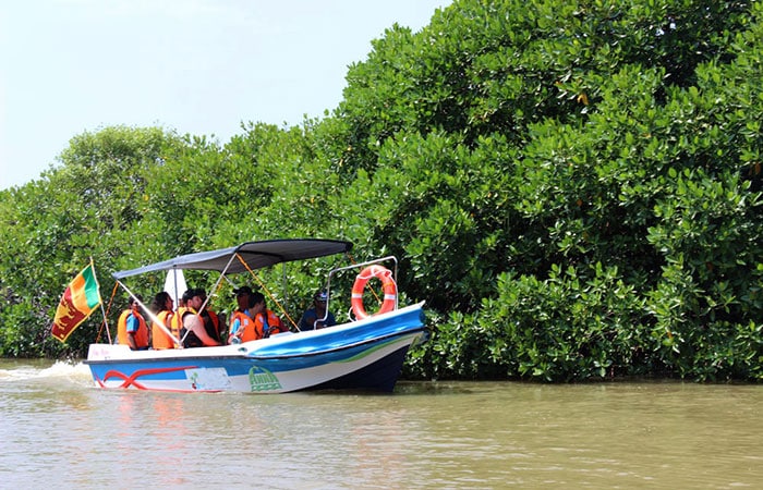 Muthurajawela Wetland Boat Tour – photo 2