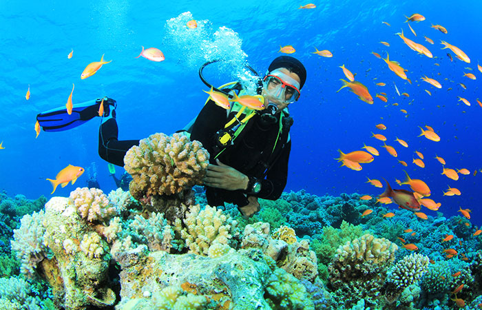 Diving Tour Hikkaduwa – photo 3