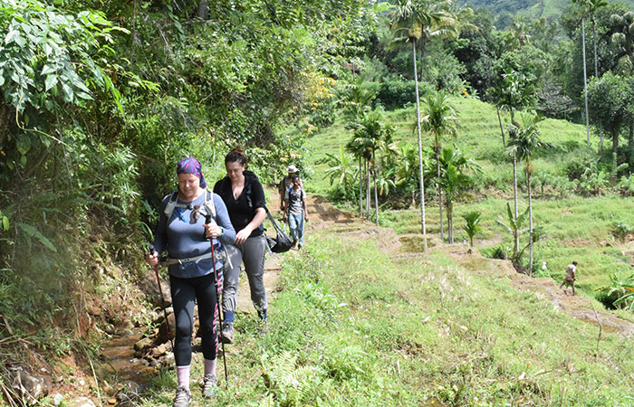 Forest Walk Tour Knuckles Mountain Range – photo 2
