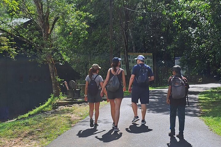 Forest Walk Tour Kanneliya  Reserve – photo 3