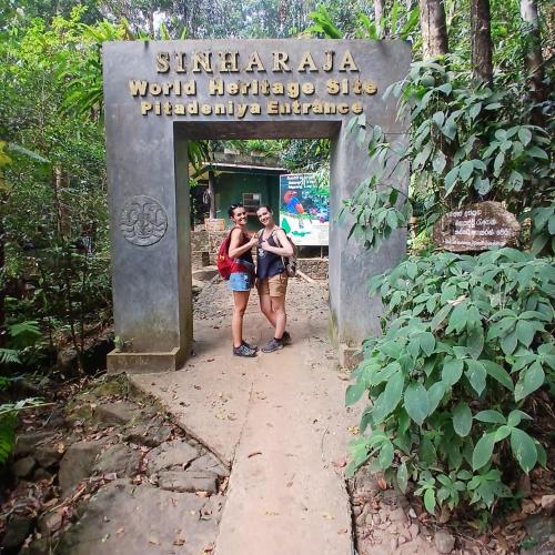 Forest Walk Tour Sinharaja – photo 5