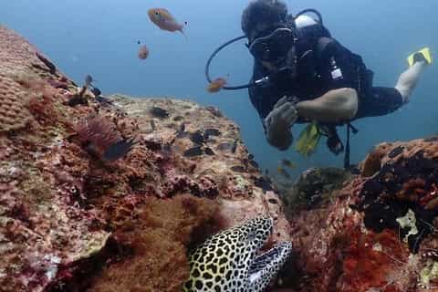 Diving Tour Pigeon Island / Nilaveli – photo 3