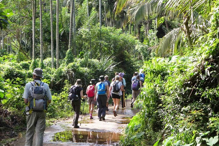 Forest Walk Tour Knuckles Mountain Range – photo 5