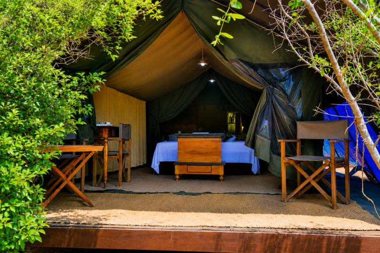 Camping Tour Yala