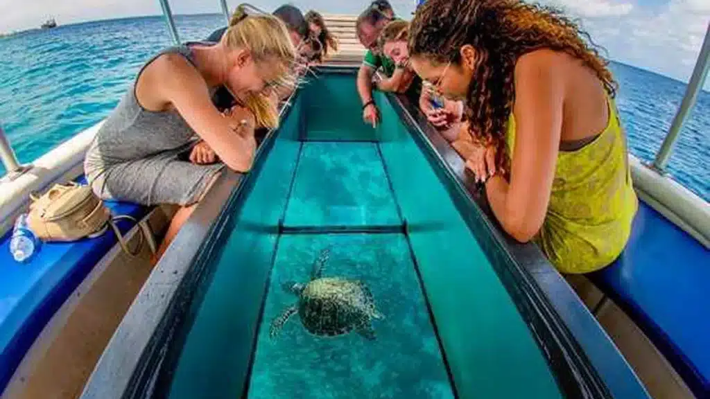 Trincomalee Glass Boat Tour – photo 2