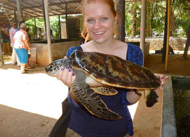 Sea Turtle Watching Tour Kosgoda – photo 4