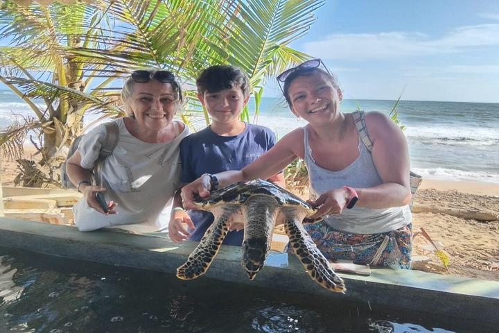 Sea Turtle Watching Tour Kosgoda