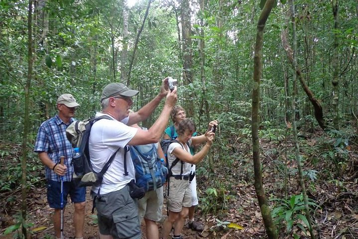 Forest Walk Tour Kanneliya  Reserve – photo 2