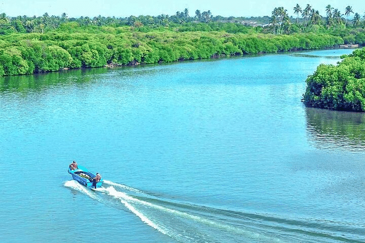 Muthurajawela Wetland Boat Tour – photo 5