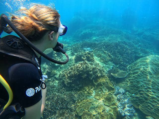 Diving Tour Pigeon Island / Nilaveli – photo 2