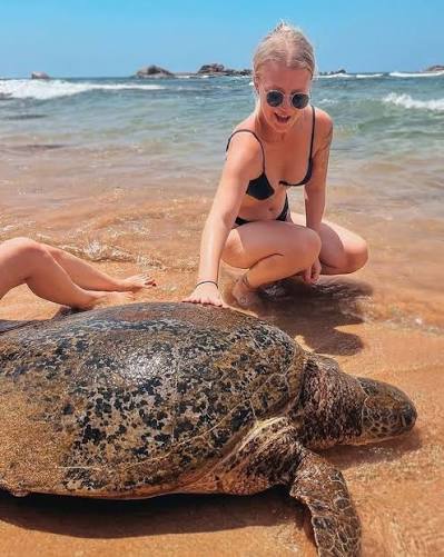 Rekawa Sea Turtle Watching Tour – photo 2