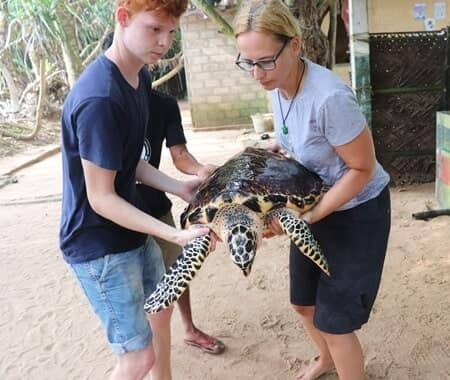 Rekawa Sea Turtle Watching Tour – photo 4